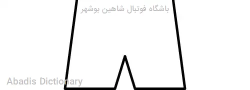 باشگاه فوتبال شاهین بوشهر